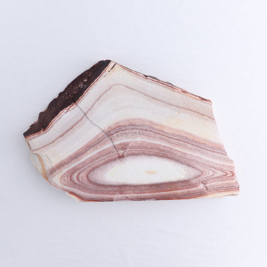 Rhyolite Slabs Set of 2