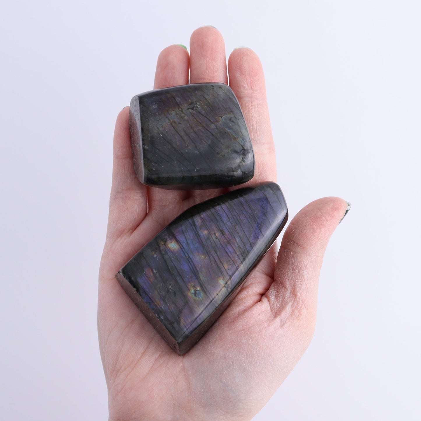 Labradorite Freeform Set of 17 | Mi Esperanza Minerals | Supplier of Crystals and Onyx