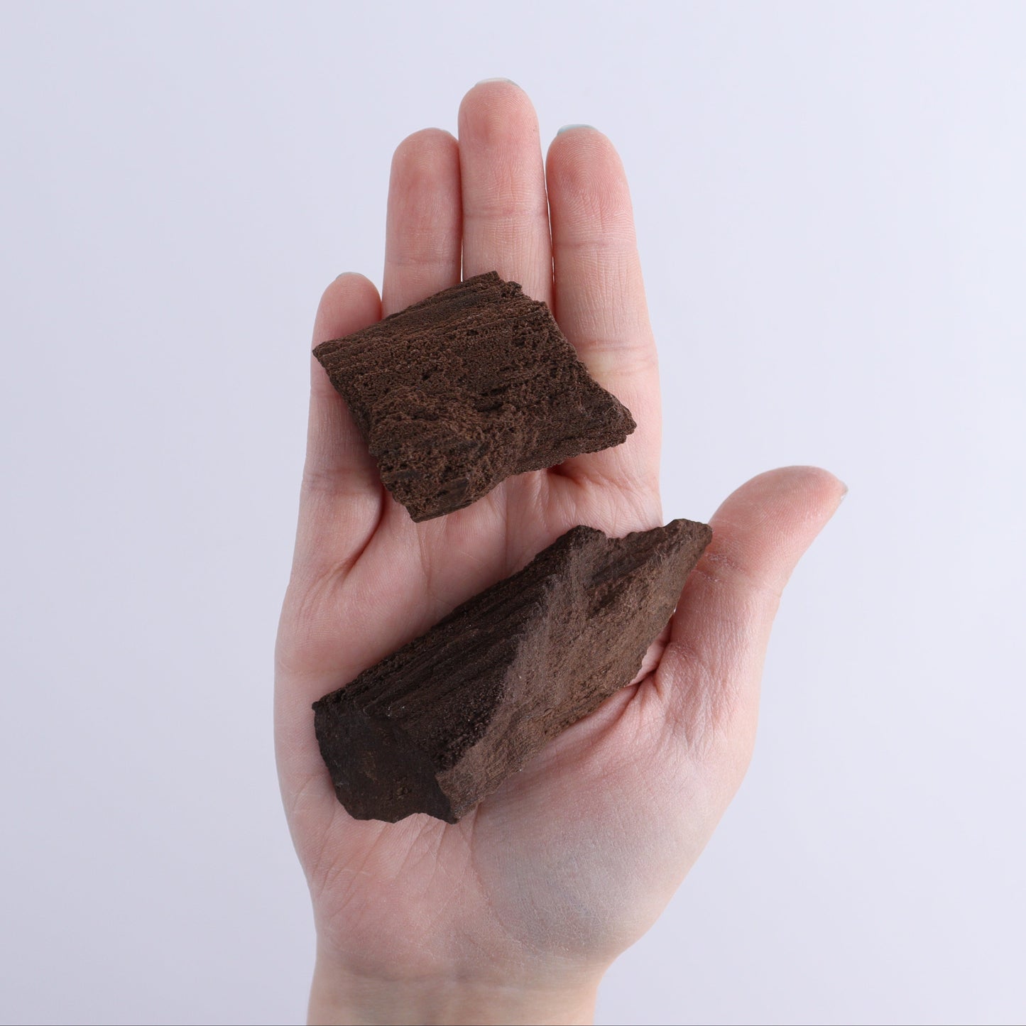 Permineralized Wood Flat of 24 | Mi Esperanza Minerals | Supplier of Crystals and Onyx
