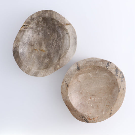 One Petrified Wood Beige Polished Bowl