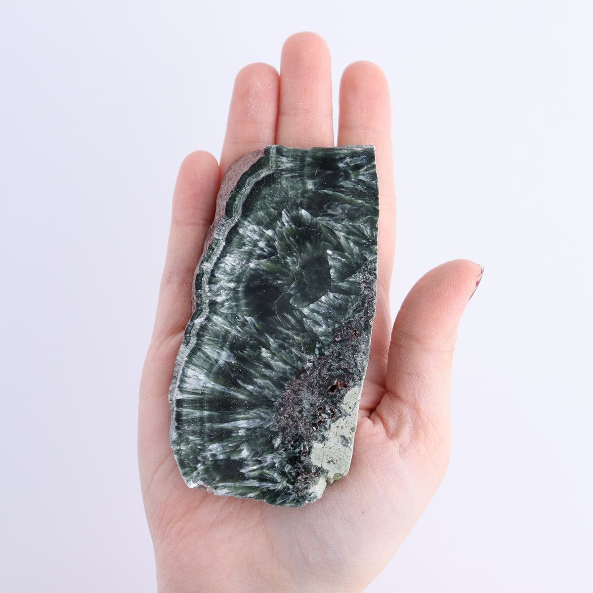 Seraphinite Slices Set of 6 | Mi Esperanza Minerals | Supplier of Crystals and Onyx