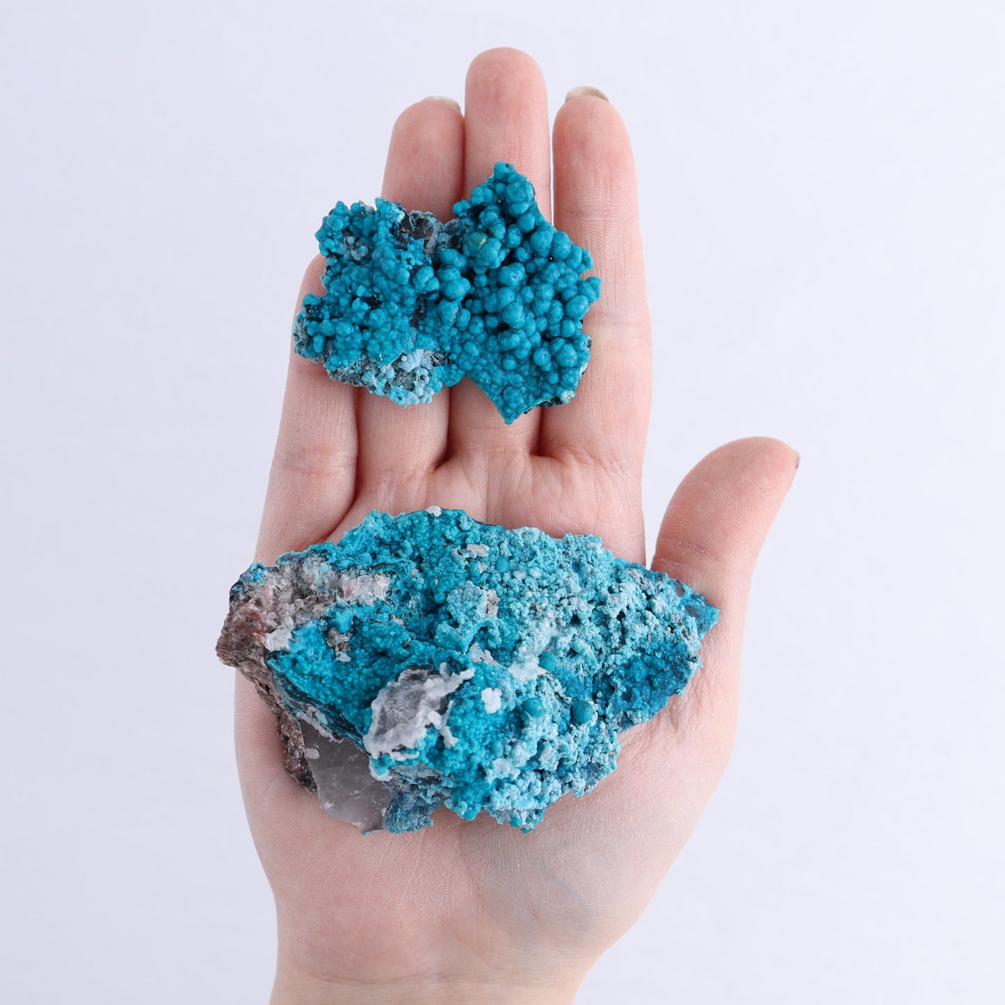 Chrysocolla on Quartz Roughs Set of 12 | Mi Esperanza Minerals | Supplier of Crystals and Onyx