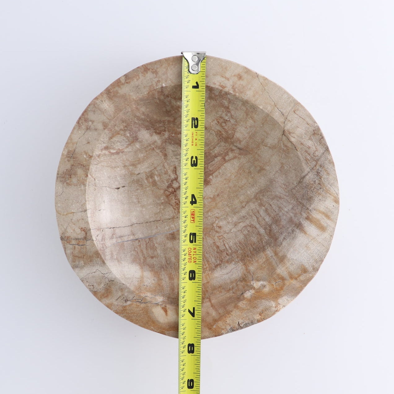 One Petrified Wood Beige Polished Bowl
