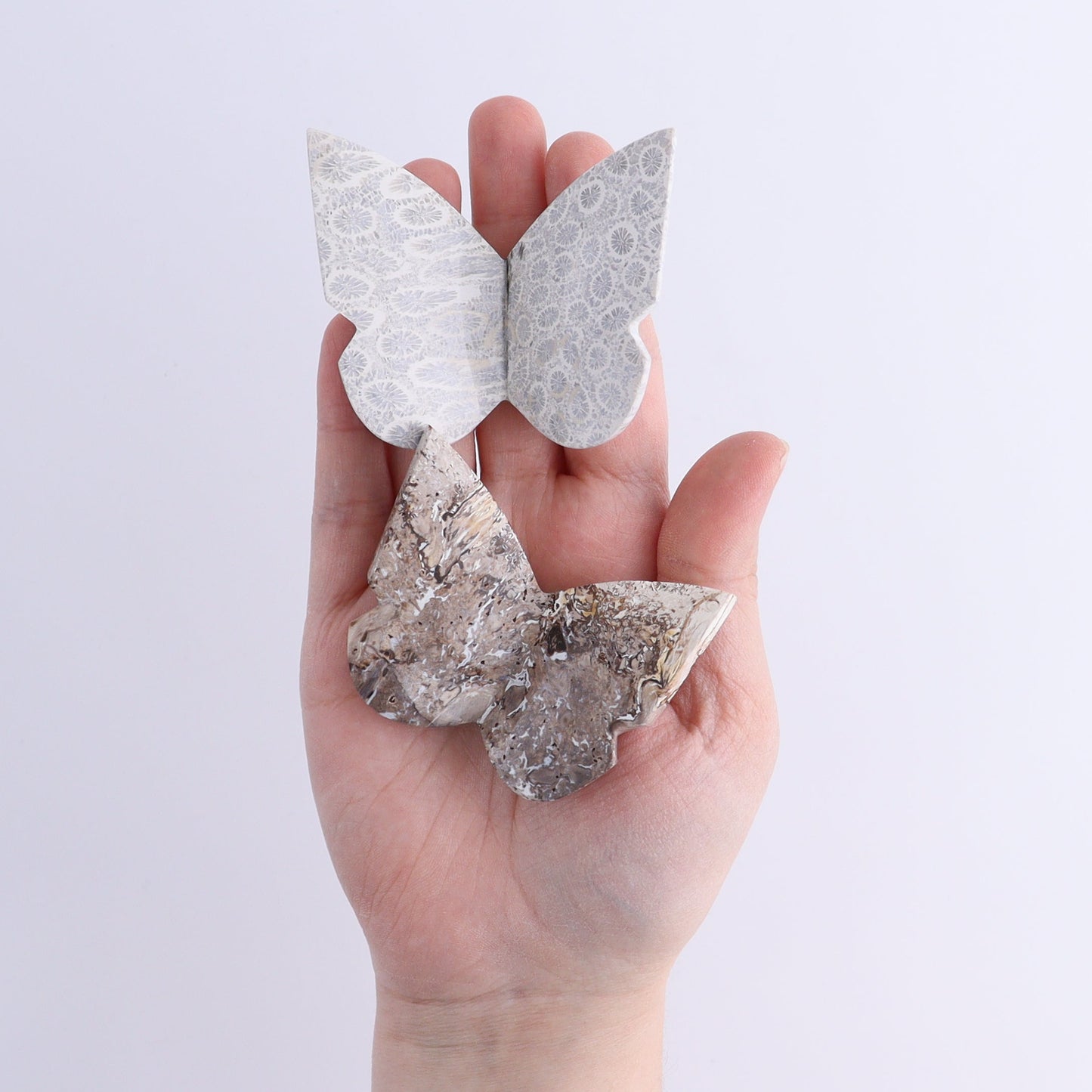 Butterflies Blue Palm Root & Fossil Coral Set of 10 | Mi Esperanza Minerals | Supplier of Crystals and Onyx