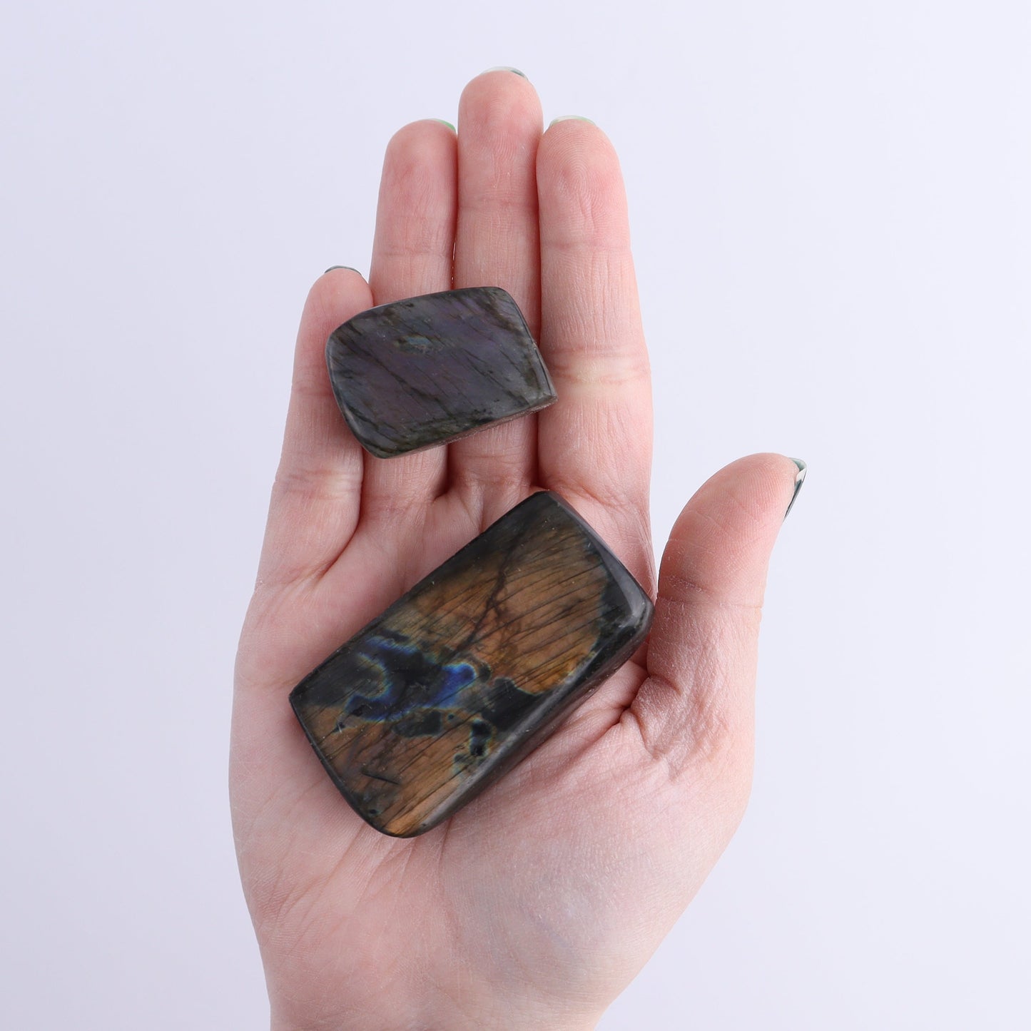 Labradorite Freeform Set of 23 | Mi Esperanza Minerals | Supplier of Crystals and Onyx