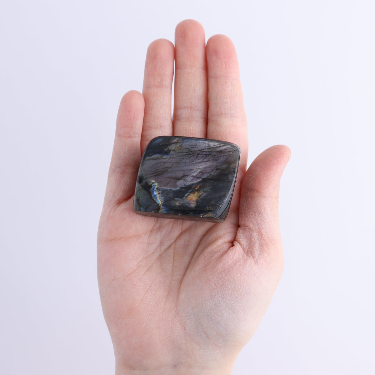 Labradorite Freeform Set of 8 | Mi Esperanza Minerals | Supplier of Crystals and Onyx