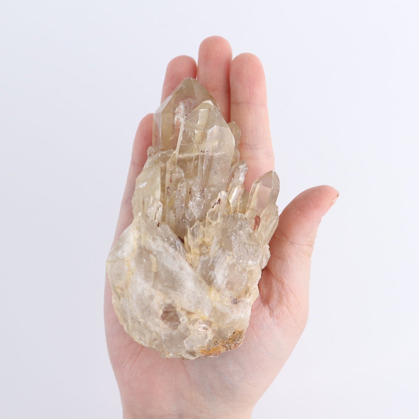 Congo Citrine Set of 12