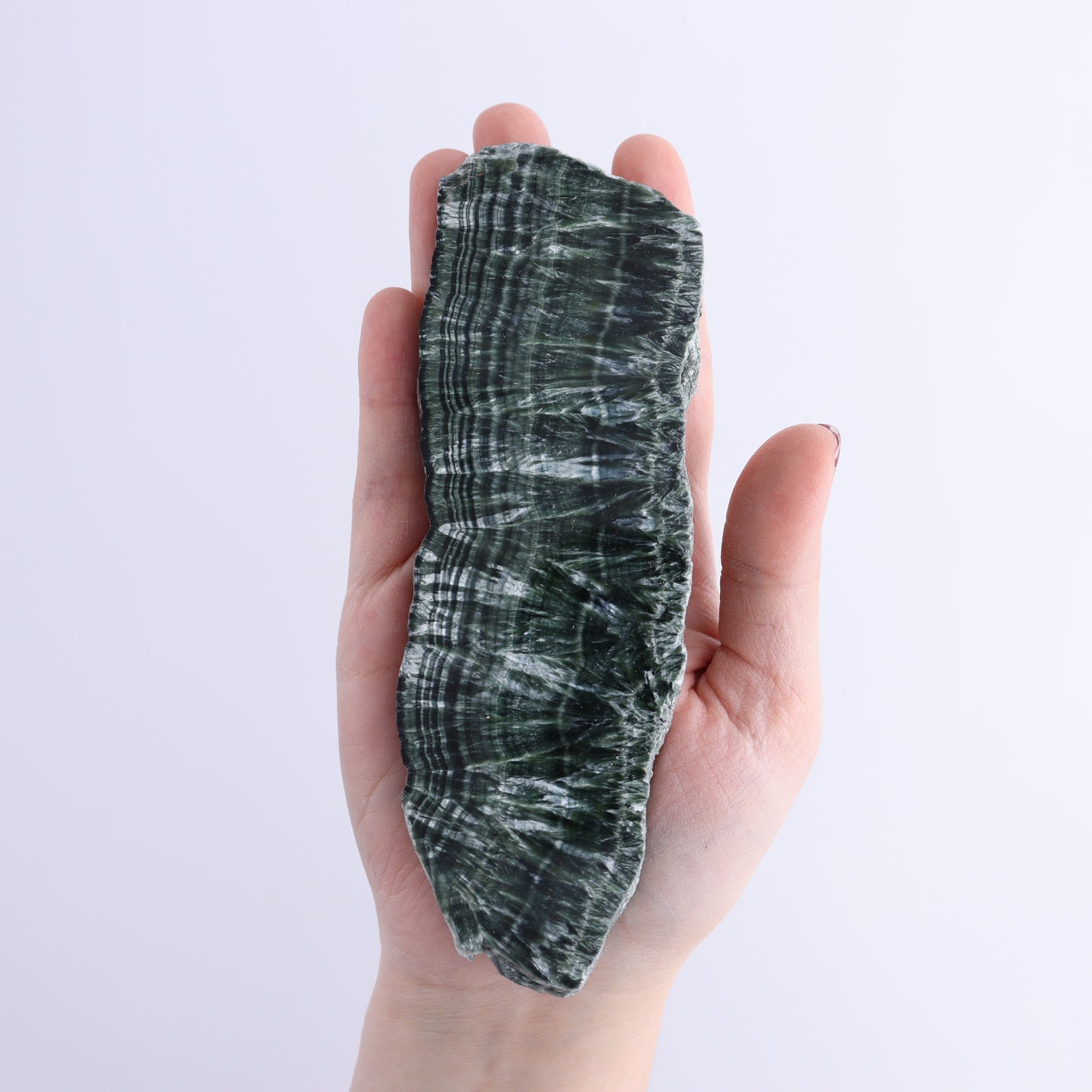 Seraphinite Slices Set of 4 | Mi Esperanza Minerals | Supplier of Crystals and Onyx