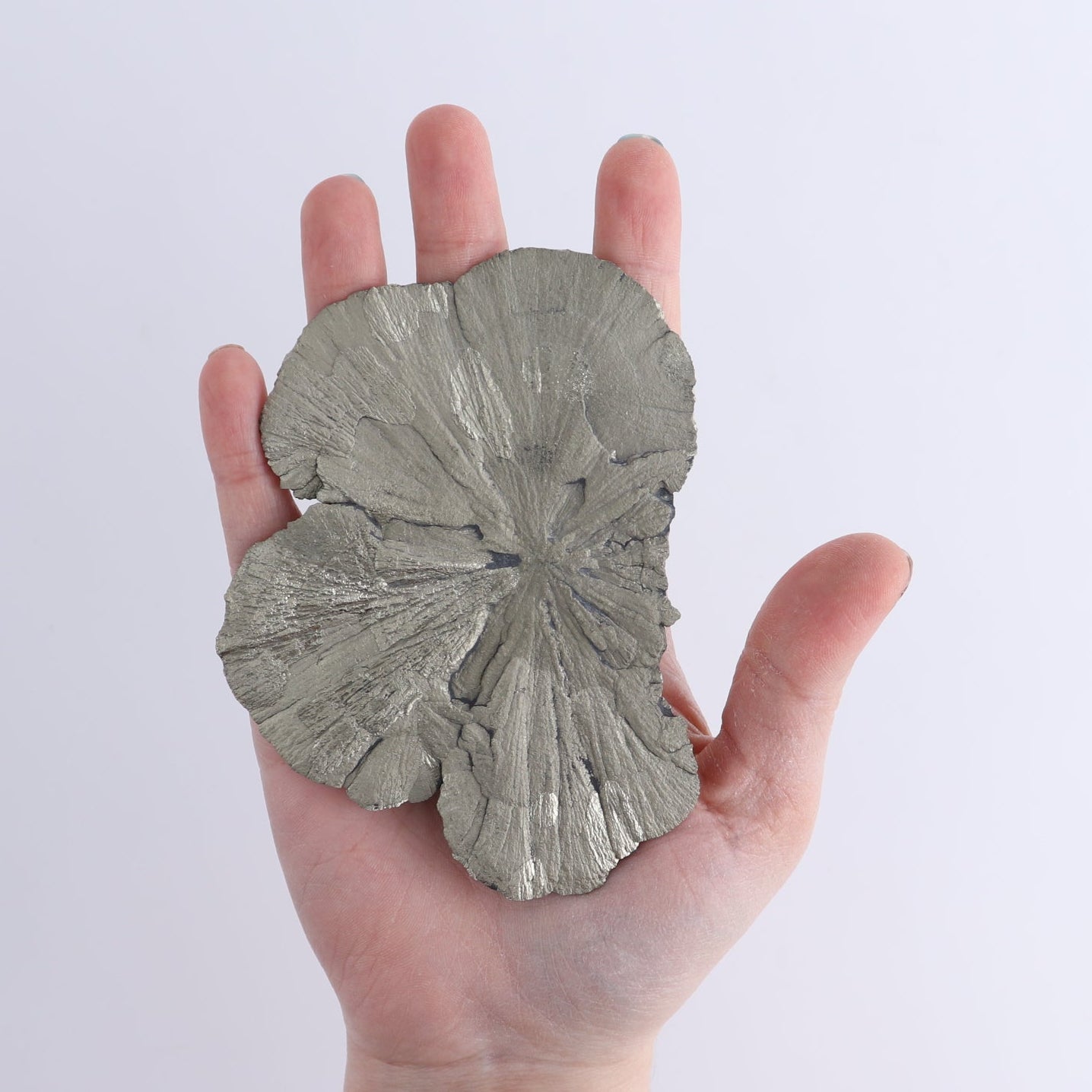 Pyrite Suns Set of 3