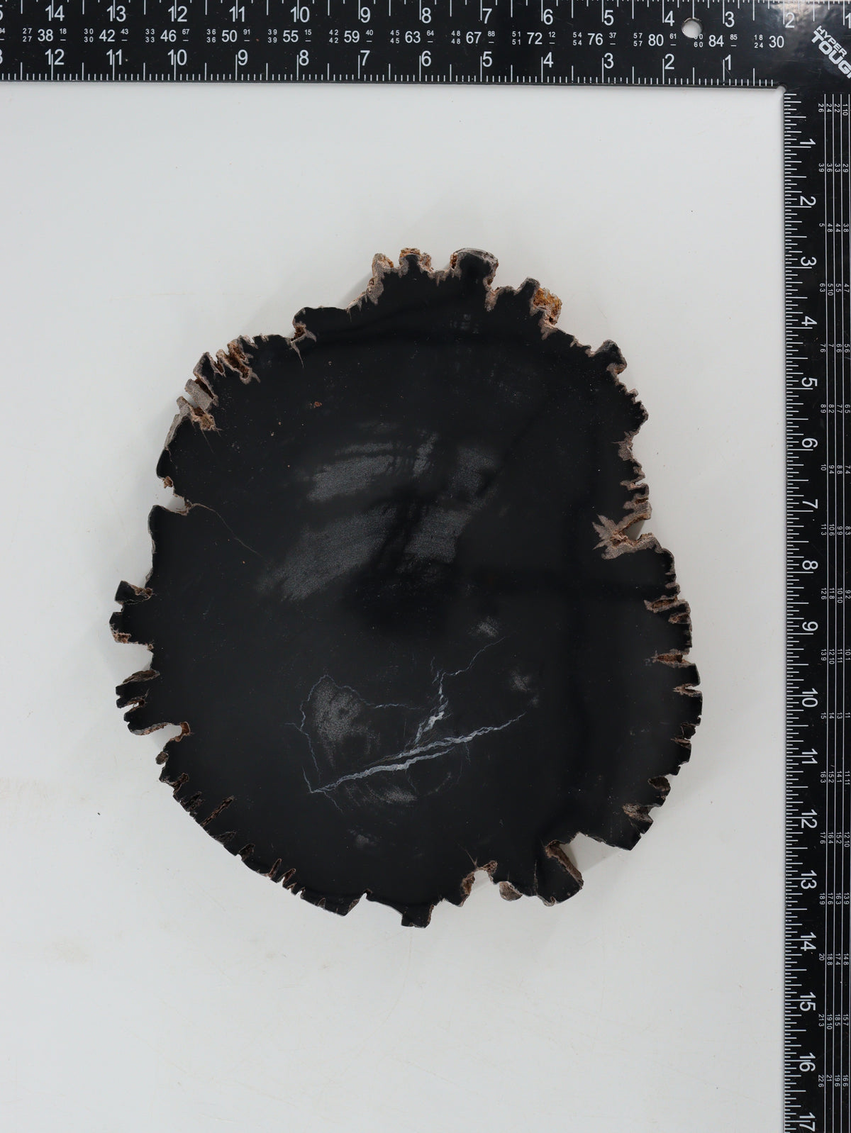 Petrified Wood Slices and Slabs Set of 2 - wholesale crystals