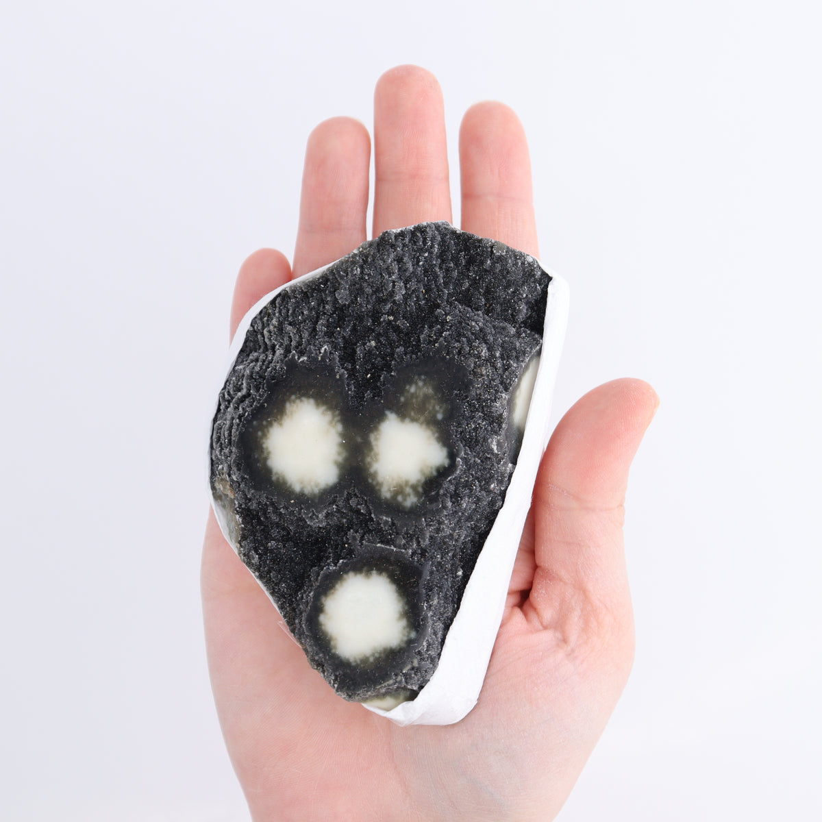 Uruguay Amethyst Clusters with "Eyes" Flat of 10 | Mi Esperanza Minerals | Supplier of Crystals and Onyx