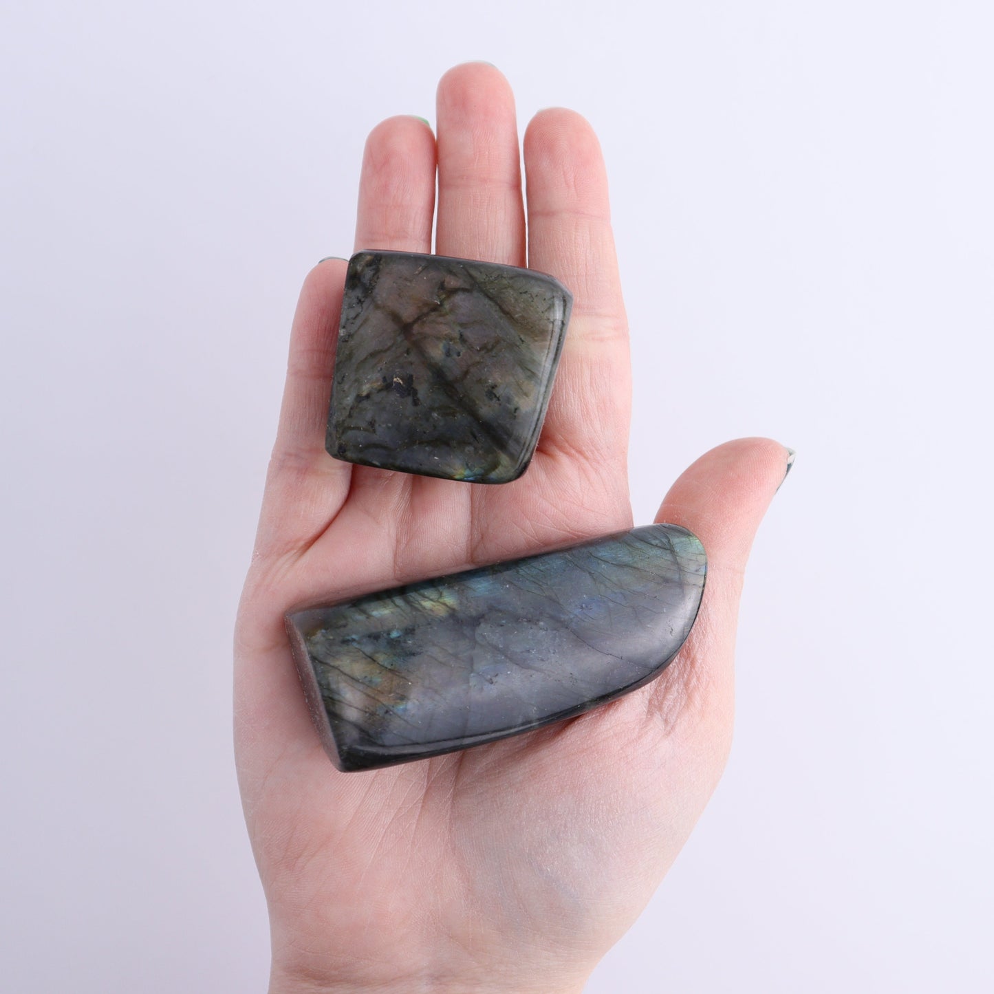 Labradorite Freeform Set of 18 | Mi Esperanza Minerals | Supplier of Crystals and Onyx