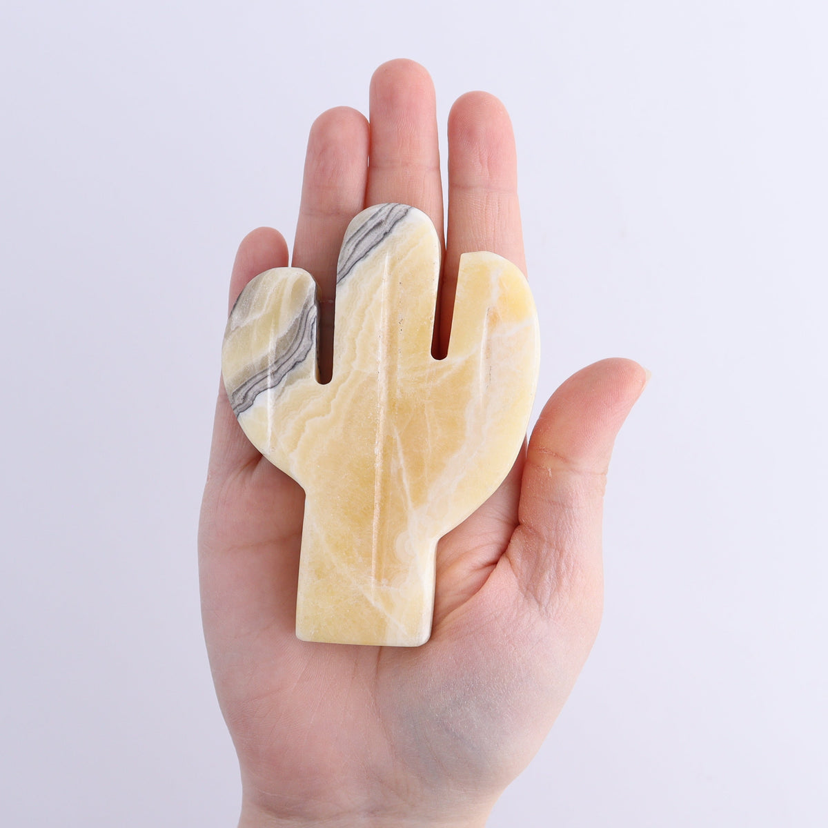 One Cactus Mexican Onyx/Calcite Yellow Zebra 9 cm | Mi Esperanza Minerals | Supplier of Crystals and Onyx