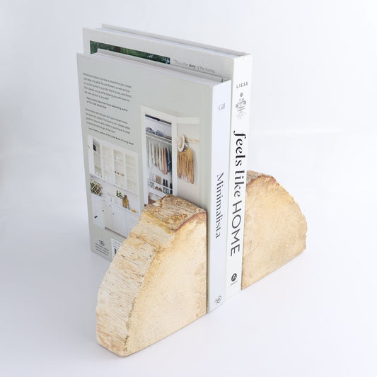 One Pair of Petrified Wood Rough Bookend