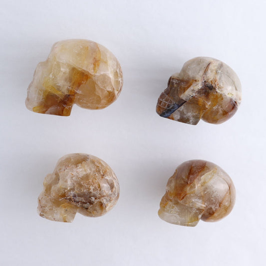 Golden Healer Skulls Set of 4