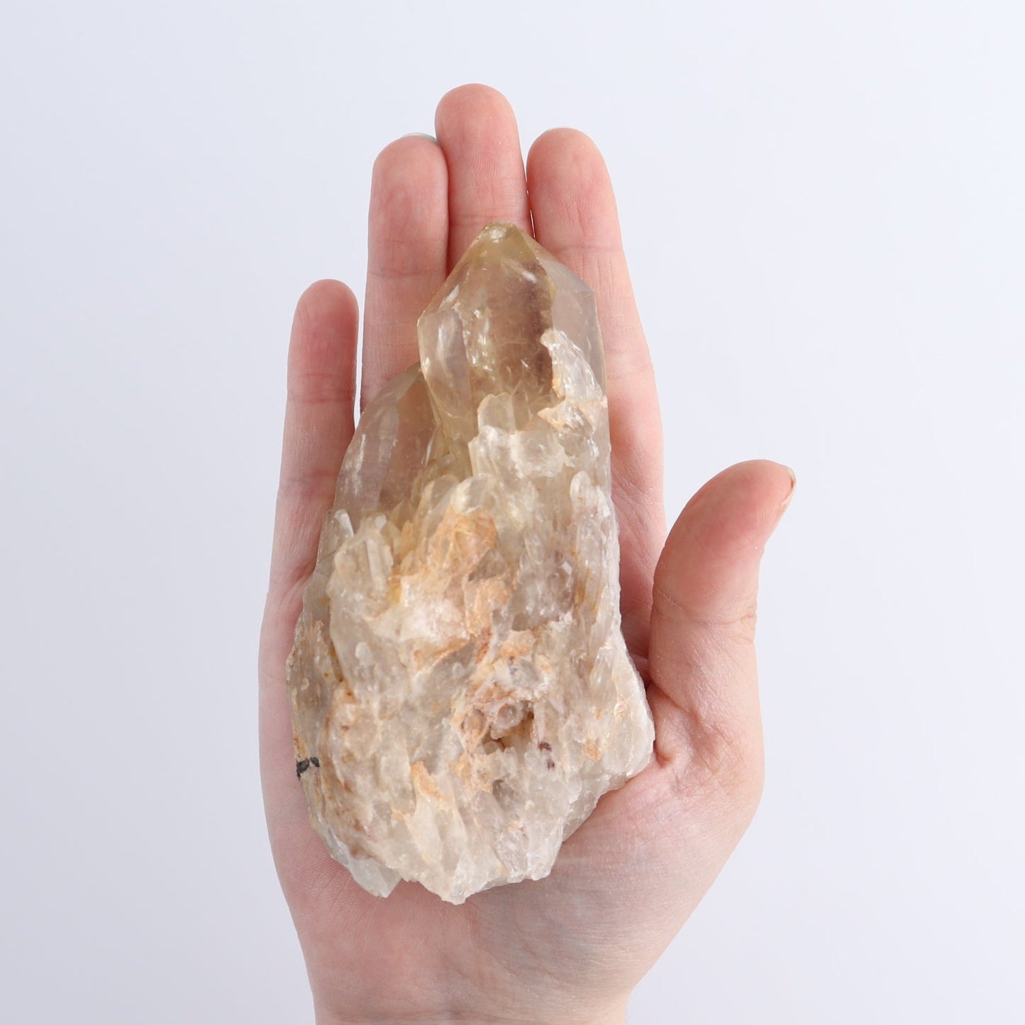 Congo Citrine Set of 12