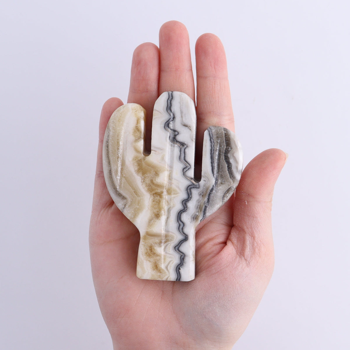 One Cactus Mexican Onyx/Calcite Black & Yellow Zebra 9 cm | Mi Esperanza Minerals | Supplier of Crystals and Onyx