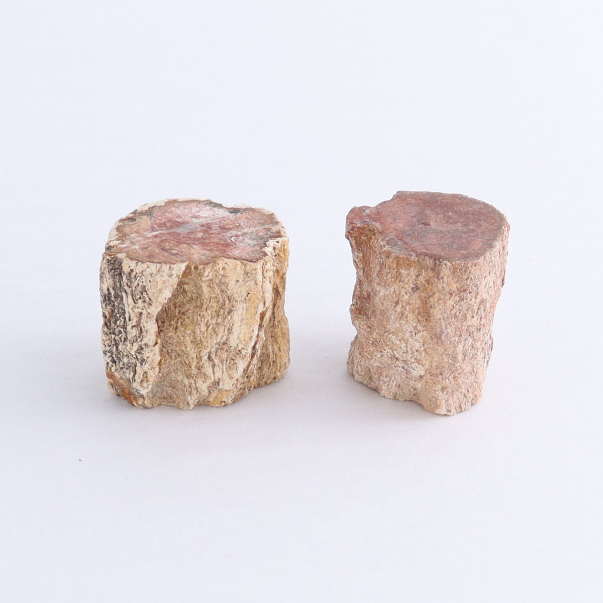 Petrified Wood Cut Bases Set of 10 | Mi Esperanza Minerals | Supplier of Crystals and Onyx