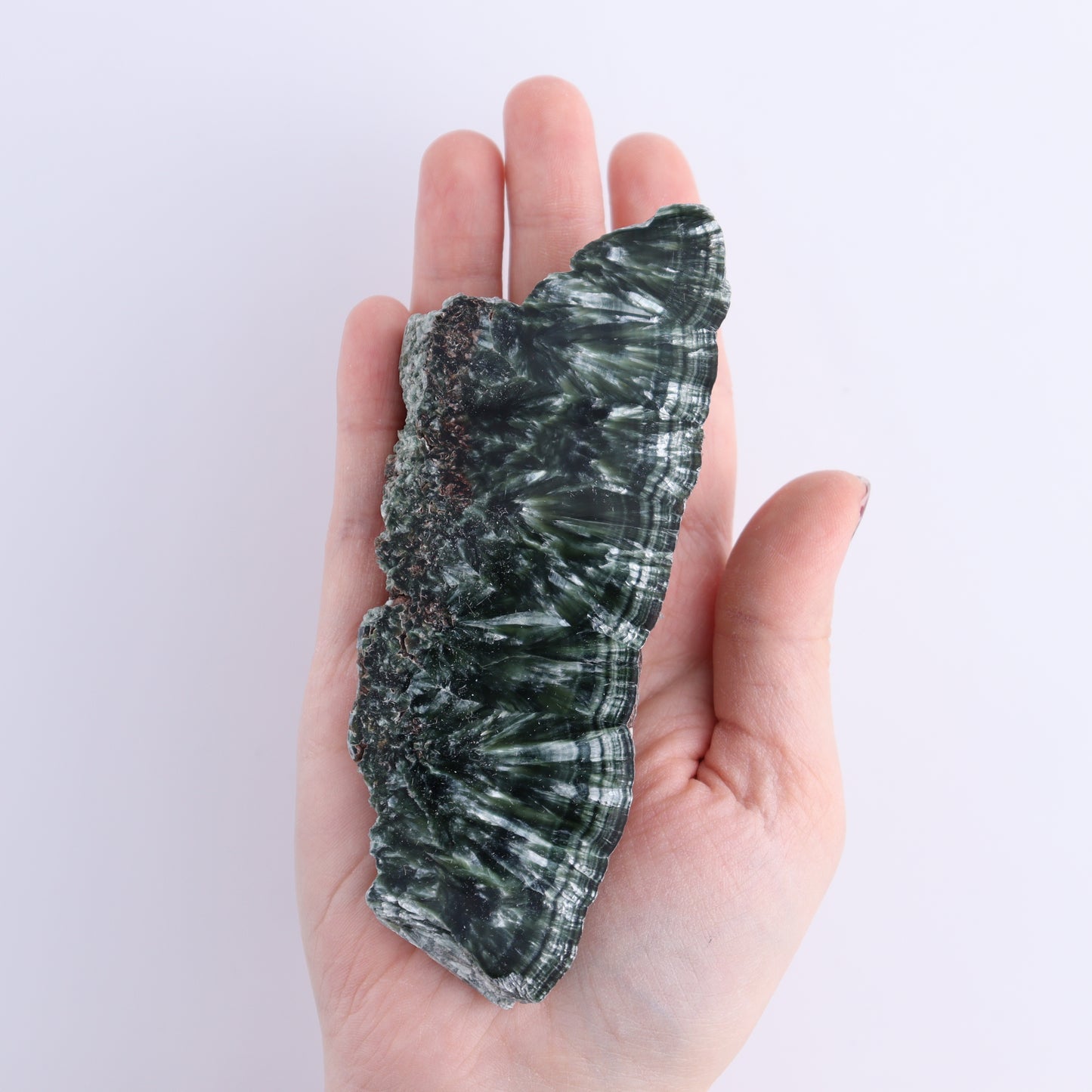 Seraphinite Slices Set of 6 | Mi Esperanza Minerals | Supplier of Crystals and Onyx