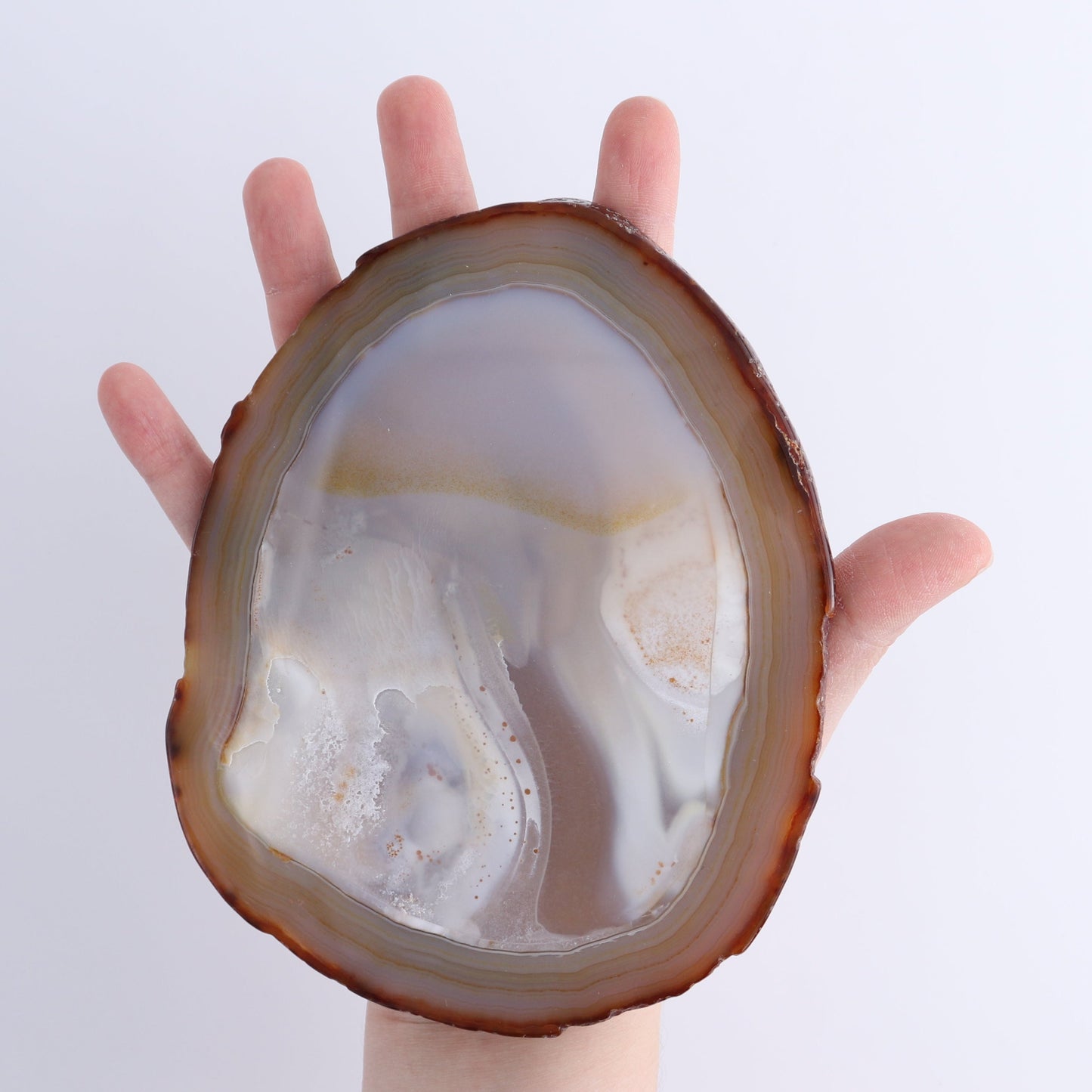 Agate Slices Set of 8 | Mi Esperanza Minerals | Supplier of Crystals and Onyx