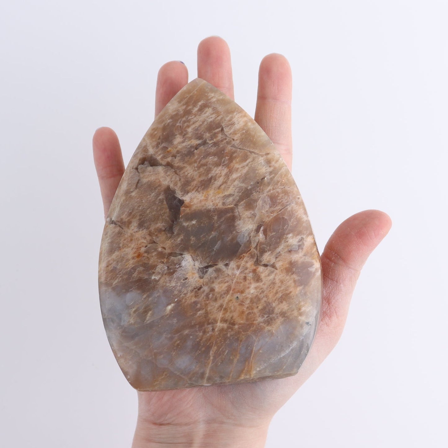 Peach Moonstone Freeform Set of 6