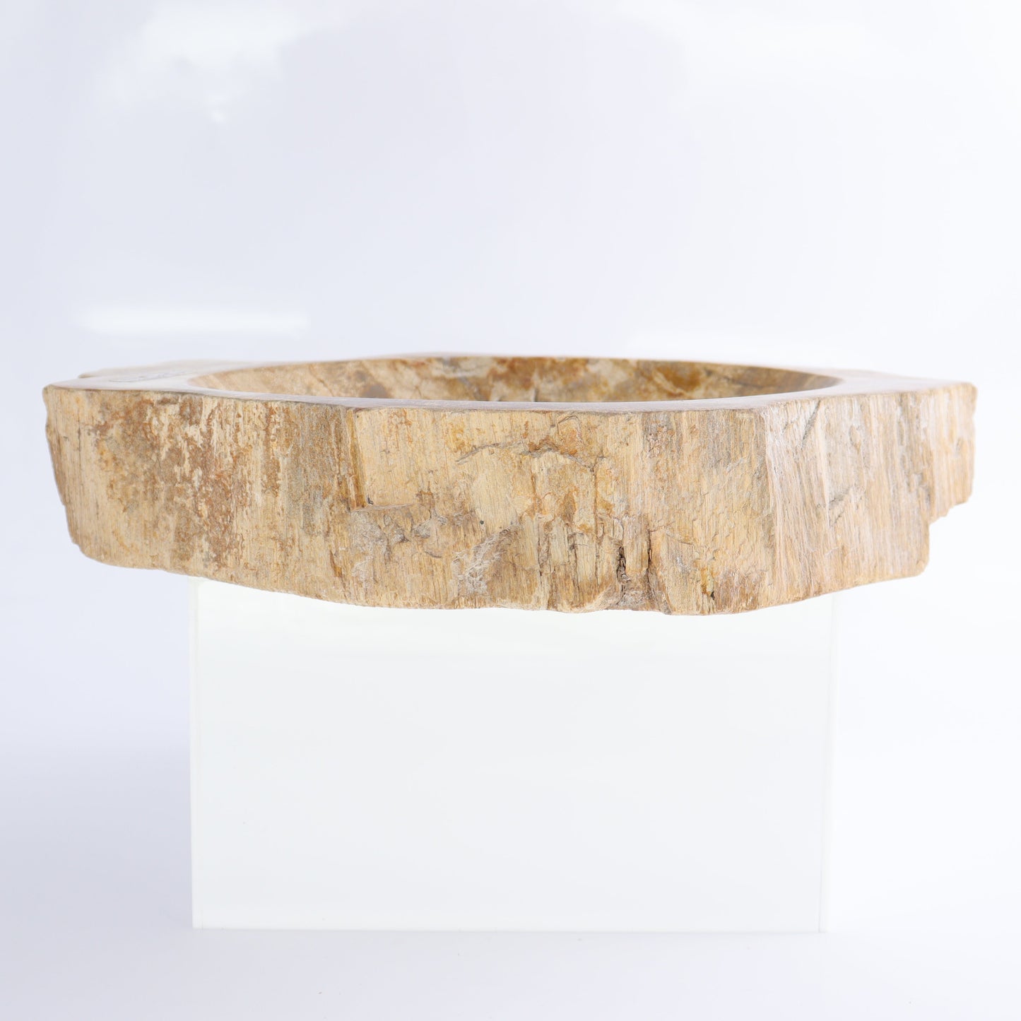 Petrified Wood Bowls Set of 2 | Mi Esperanza Minerals | Supplier of Crystals and Onyx