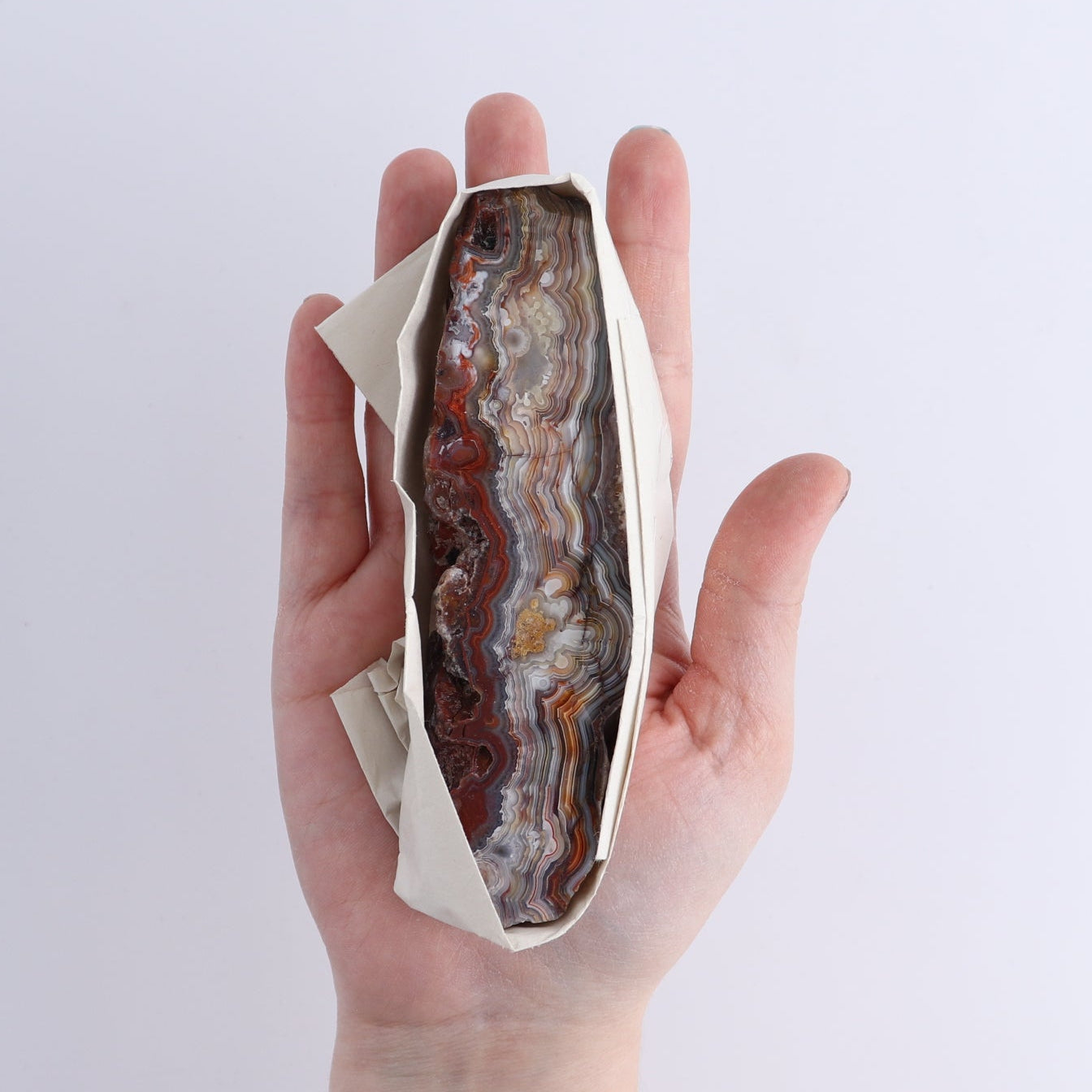 Crazy Lace Agate Flat of 13
