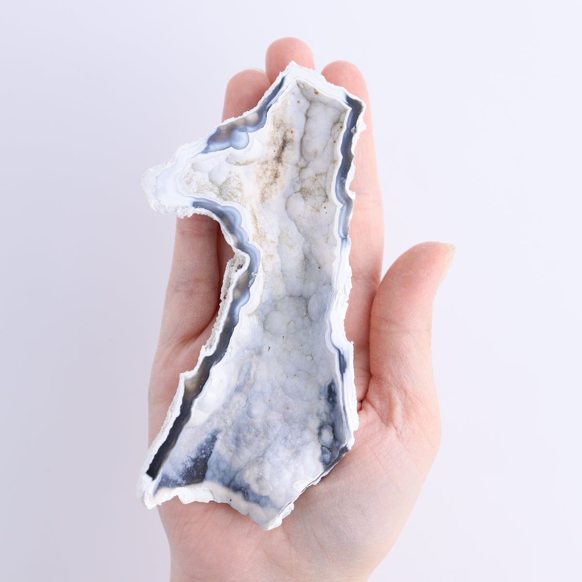 Agatized Coral Flat | Mi Esperanza Minerals | Supplier of Crystals and Onyx