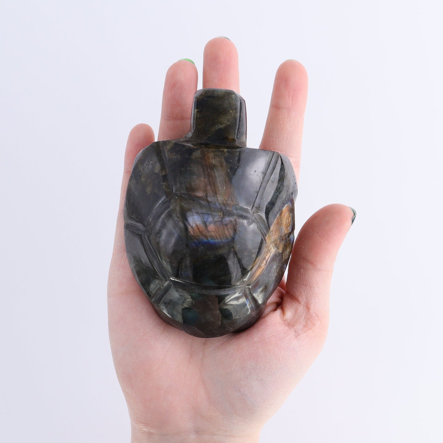 Labradorite Turtles Set of 4 | Mi Esperanza Minerals | Supplier of Crystals and Onyx
