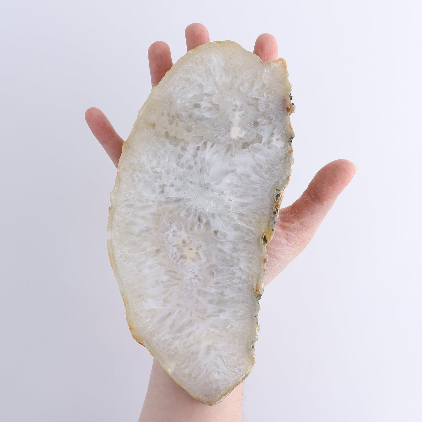 Agate Slices Set of 5 | Mi Esperanza Minerals | Supplier of Crystals and Onyx