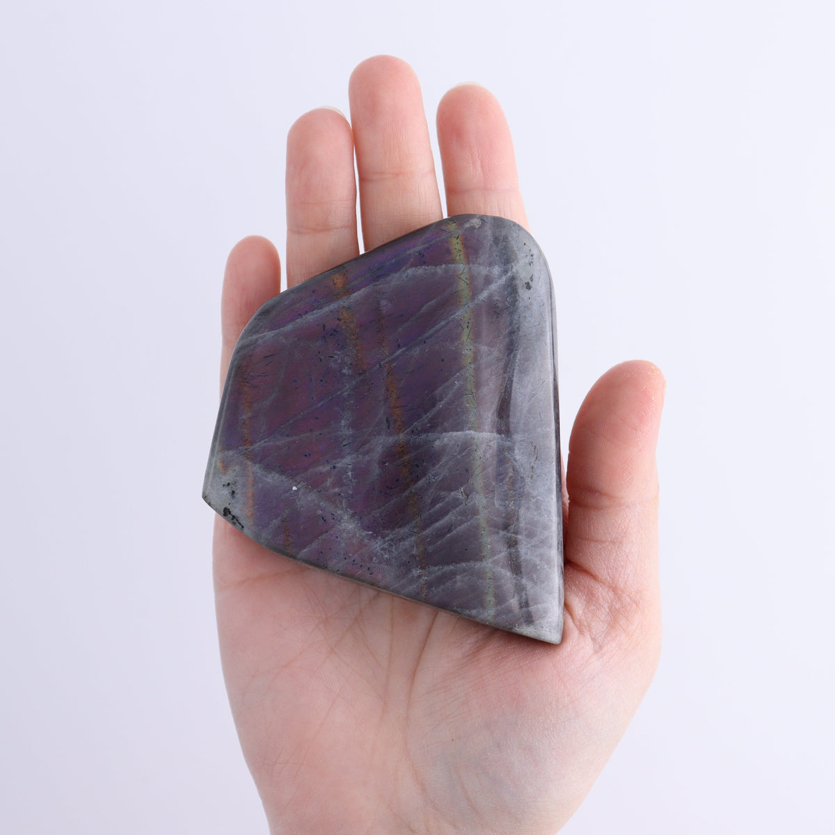 Labradorite Freeform Set of 10 | Mi Esperanza Minerals | Supplier of Crystals and Onyx