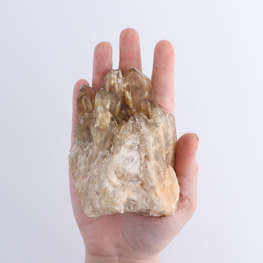Congo Citrine Set of 6