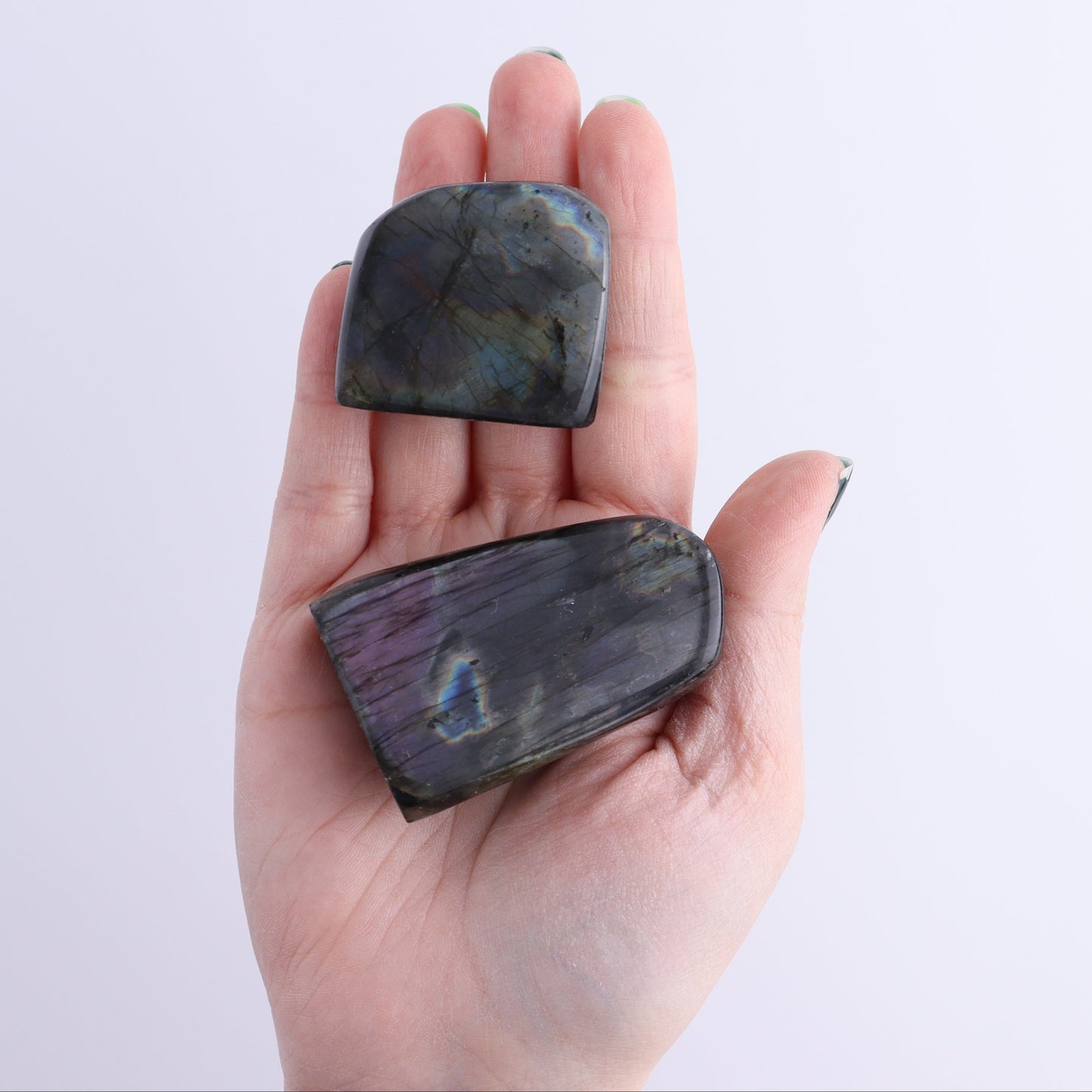 Labradorite Freeform Set of 24 | Mi Esperanza Minerals | Supplier of Crystals and Onyx