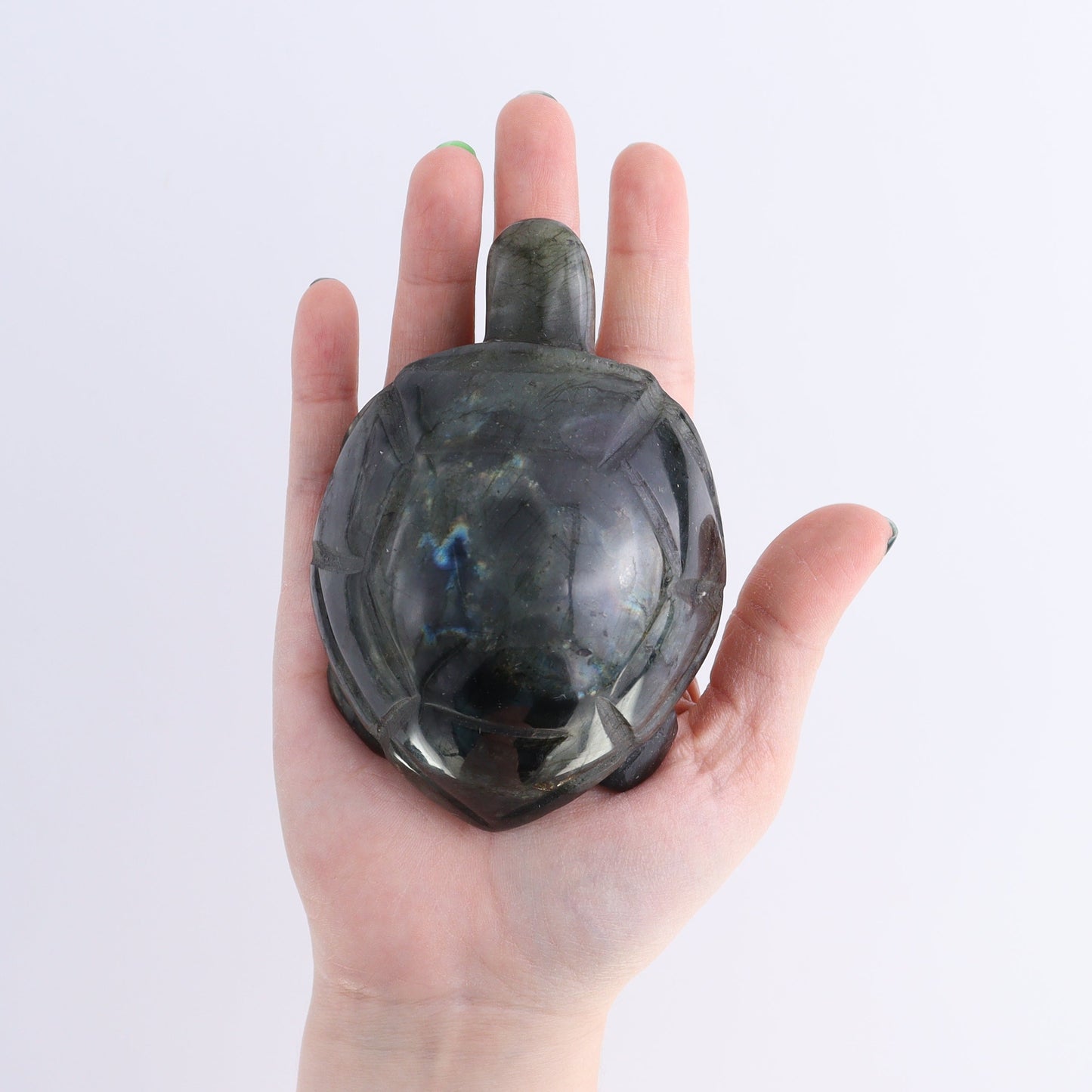Labradorite Turtles Set of 4 | Mi Esperanza Minerals | Supplier of Crystals and Onyx