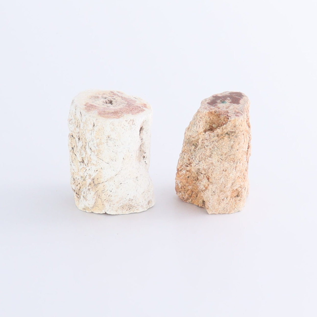 Petrified Wood Cut Bases Set of 8 | Mi Esperanza Minerals | Supplier of Crystals and Onyx