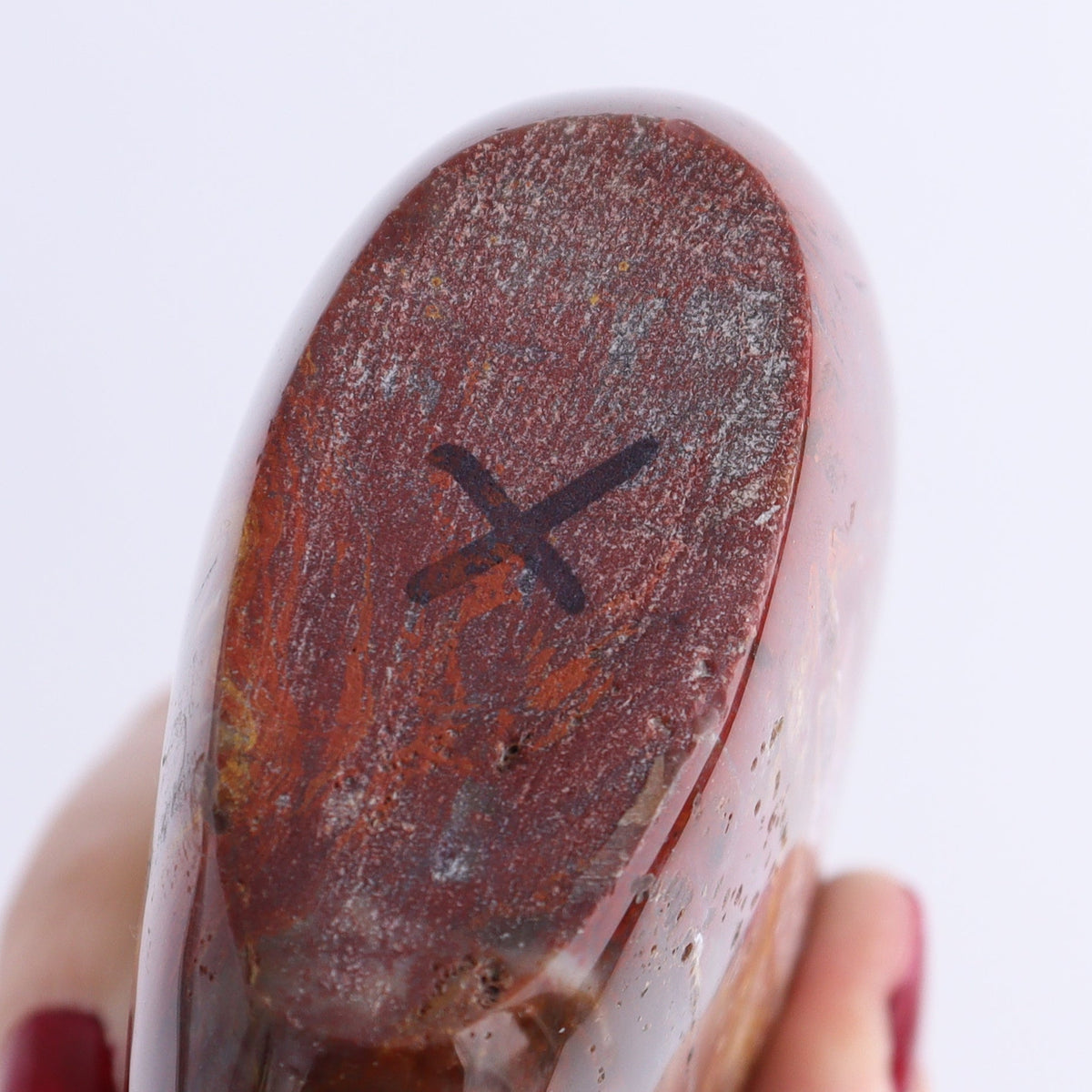 Petrified Wood Freeforms Set of 3 | Mi Esperanza Minerals | Supplier of Crystals and Onyx