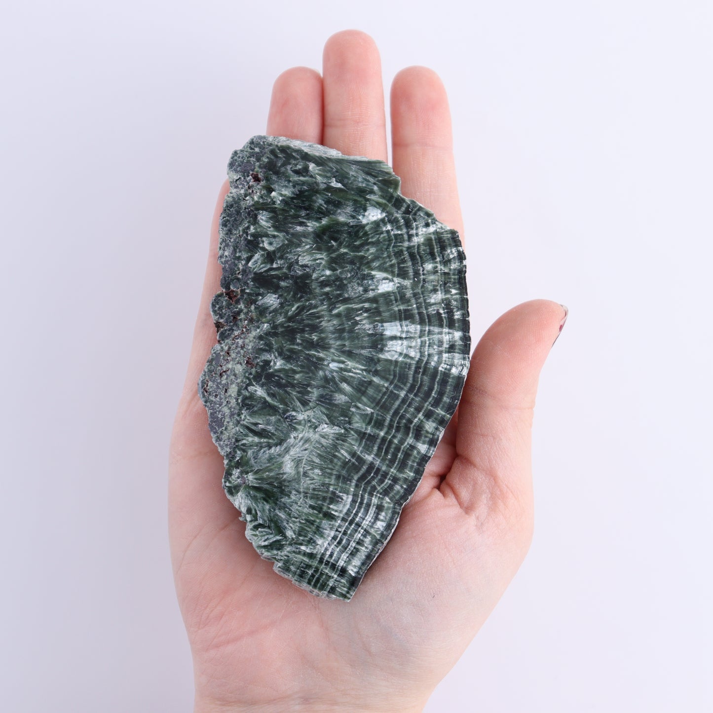 Seraphinite Slices Set of 6 | Mi Esperanza Minerals | Supplier of Crystals and Onyx