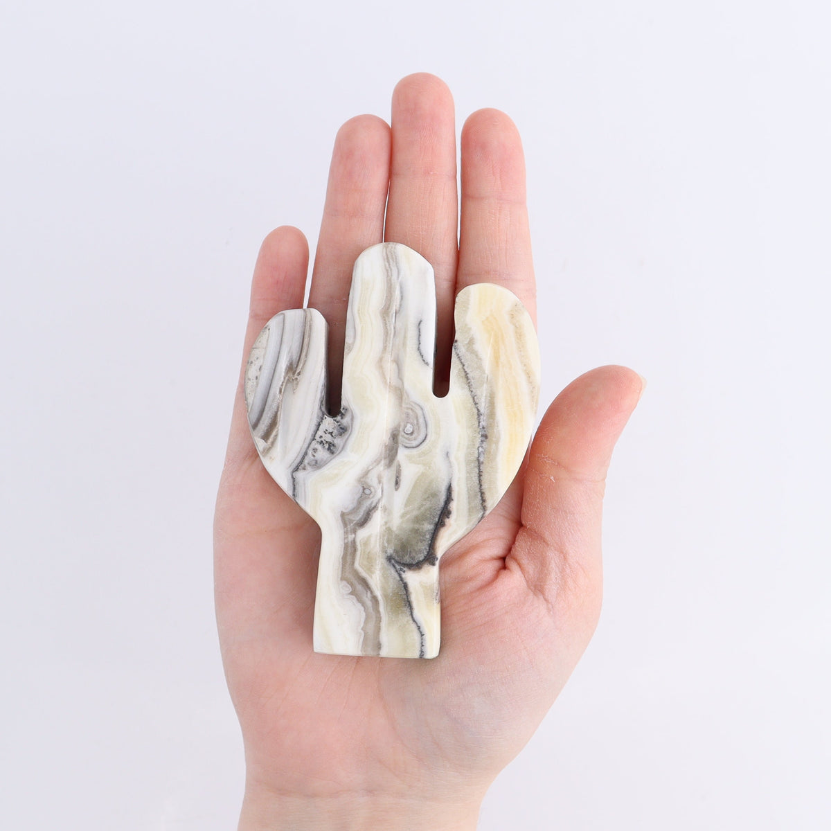 One Cactus Mexican Onyx/Calcite White Zebra 9 cm | Mi Esperanza Minerals | Supplier of Crystals and Onyx