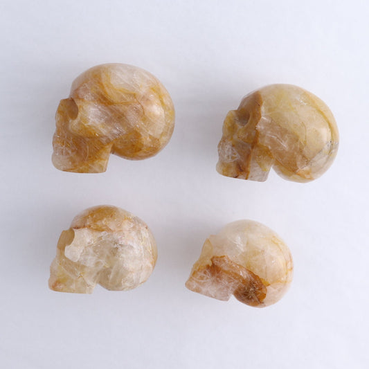 Golden Healer Skulls Set of 4