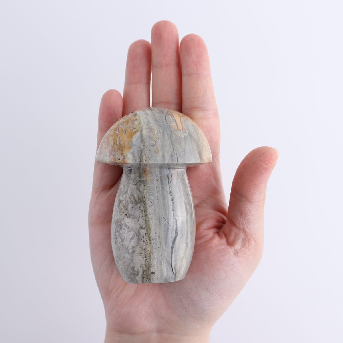 Jasper Mushrooms Set of 8