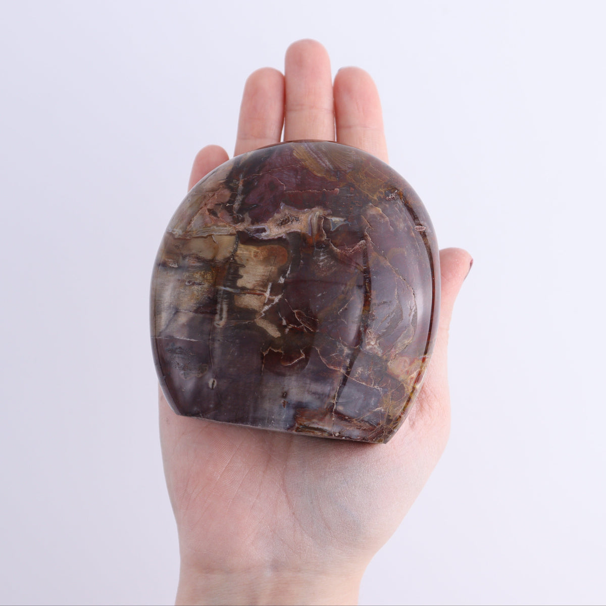 Petrified Wood Freeforms Set of 5 | Mi Esperanza Minerals | Supplier of Crystals and Onyx