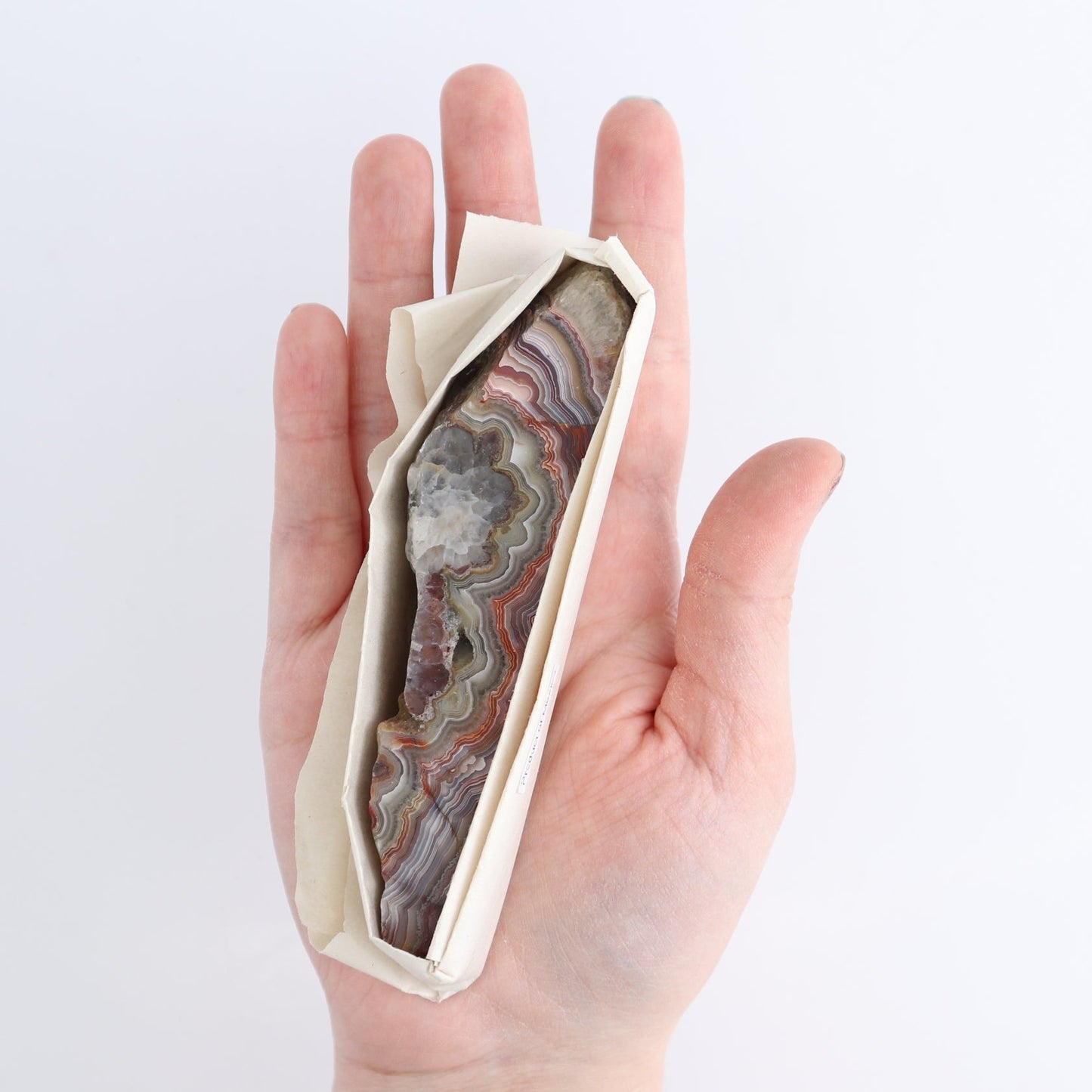 Crazy Lace Agate Flat of 13
