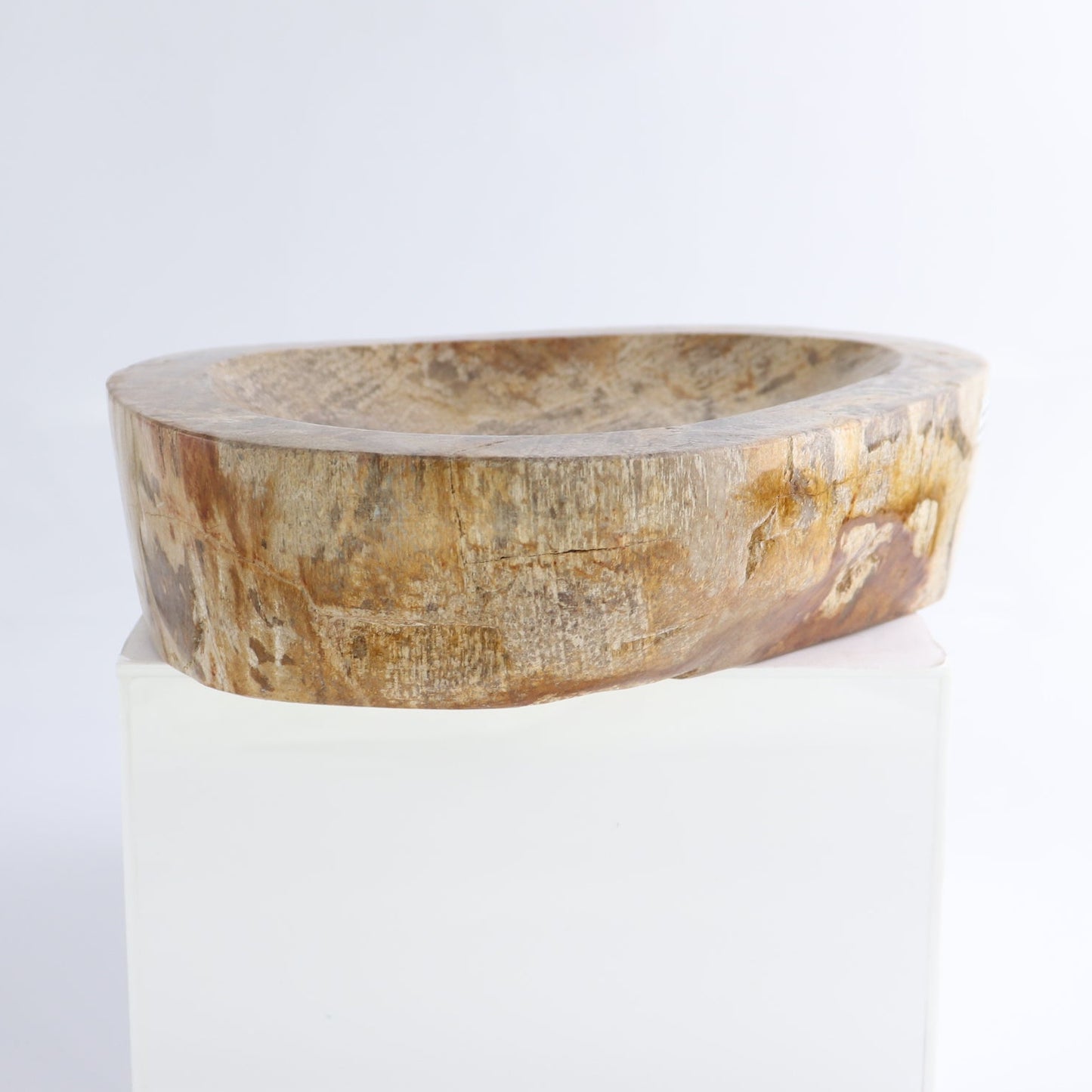 One Large Petrified Wood Brown Polished Bowl