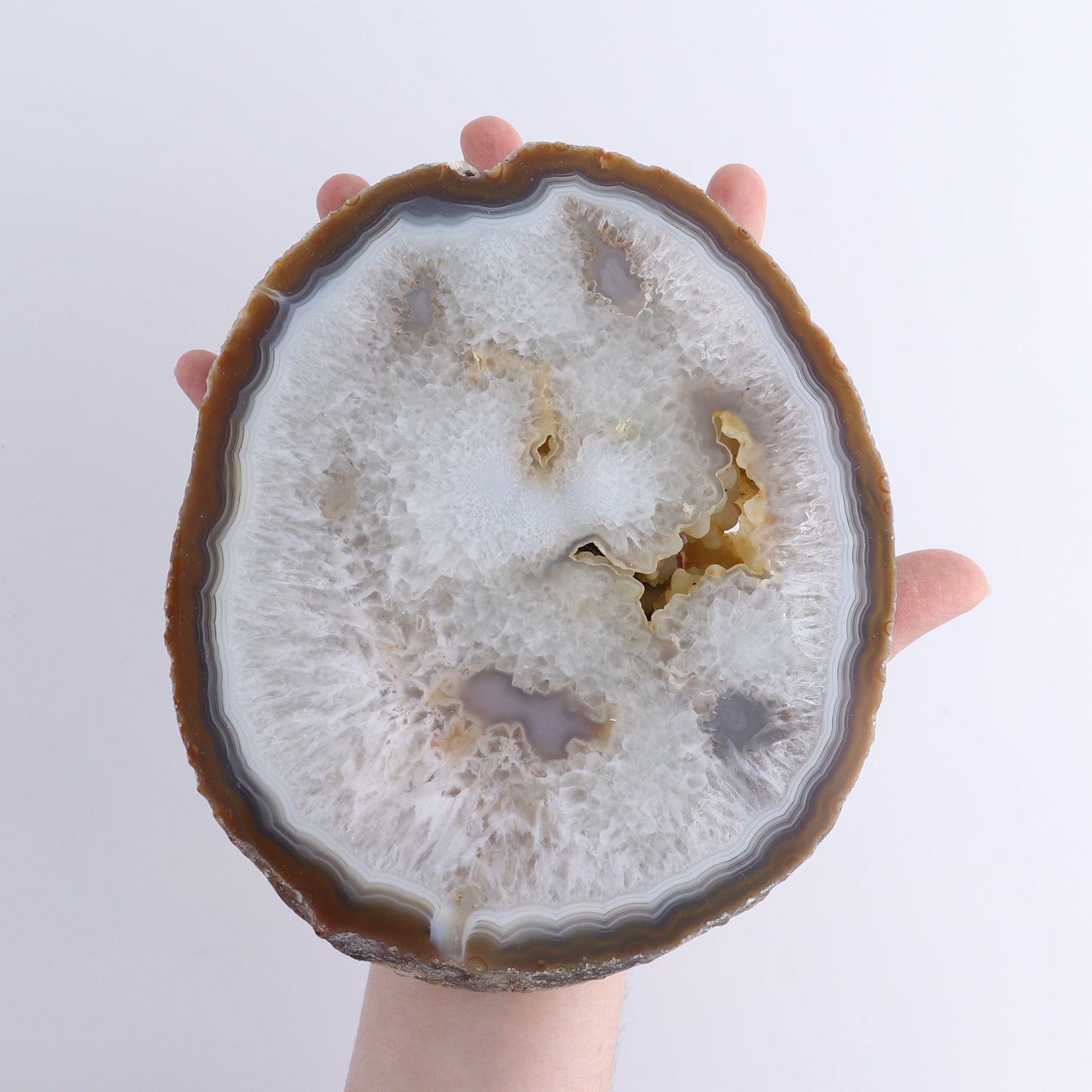 Agate Slices Set of 4 | Mi Esperanza Minerals | Supplier of Crystals and Onyx