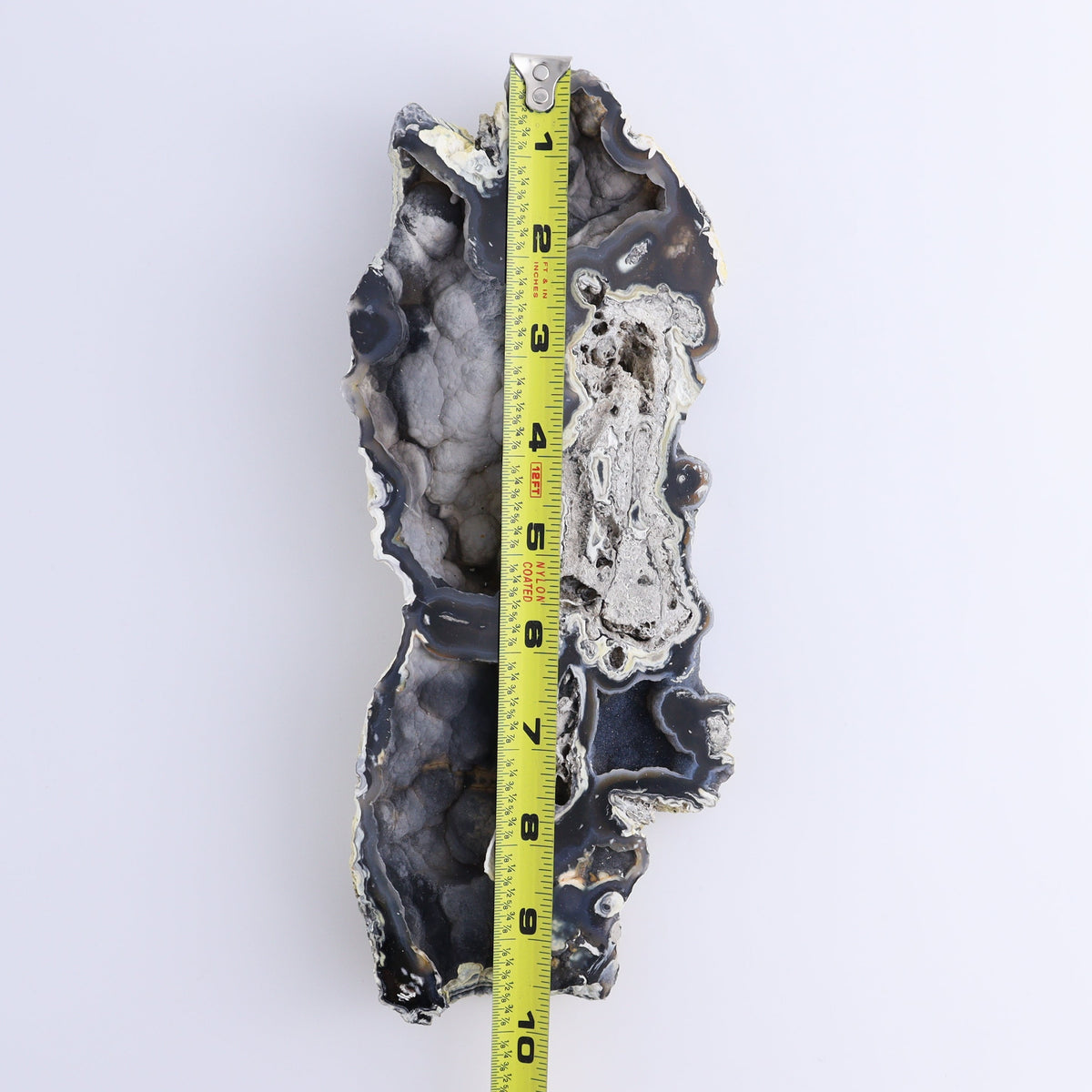 Agatized Coral Flat | Mi Esperanza Minerals | Supplier of Crystals and Onyx