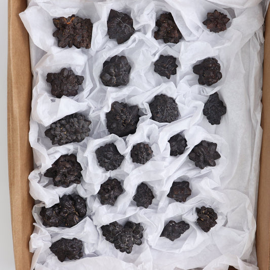 Egyptian Prophecy Stones Flat of 25