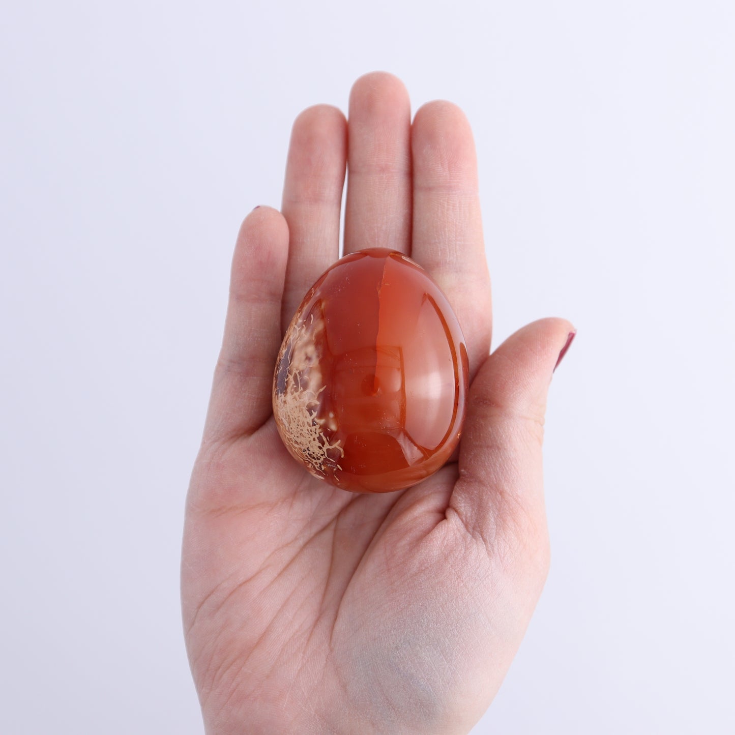 Carnelian Eggs Set of 12 | Mi Esperanza Minerals | Supplier of Crystals and Onyx