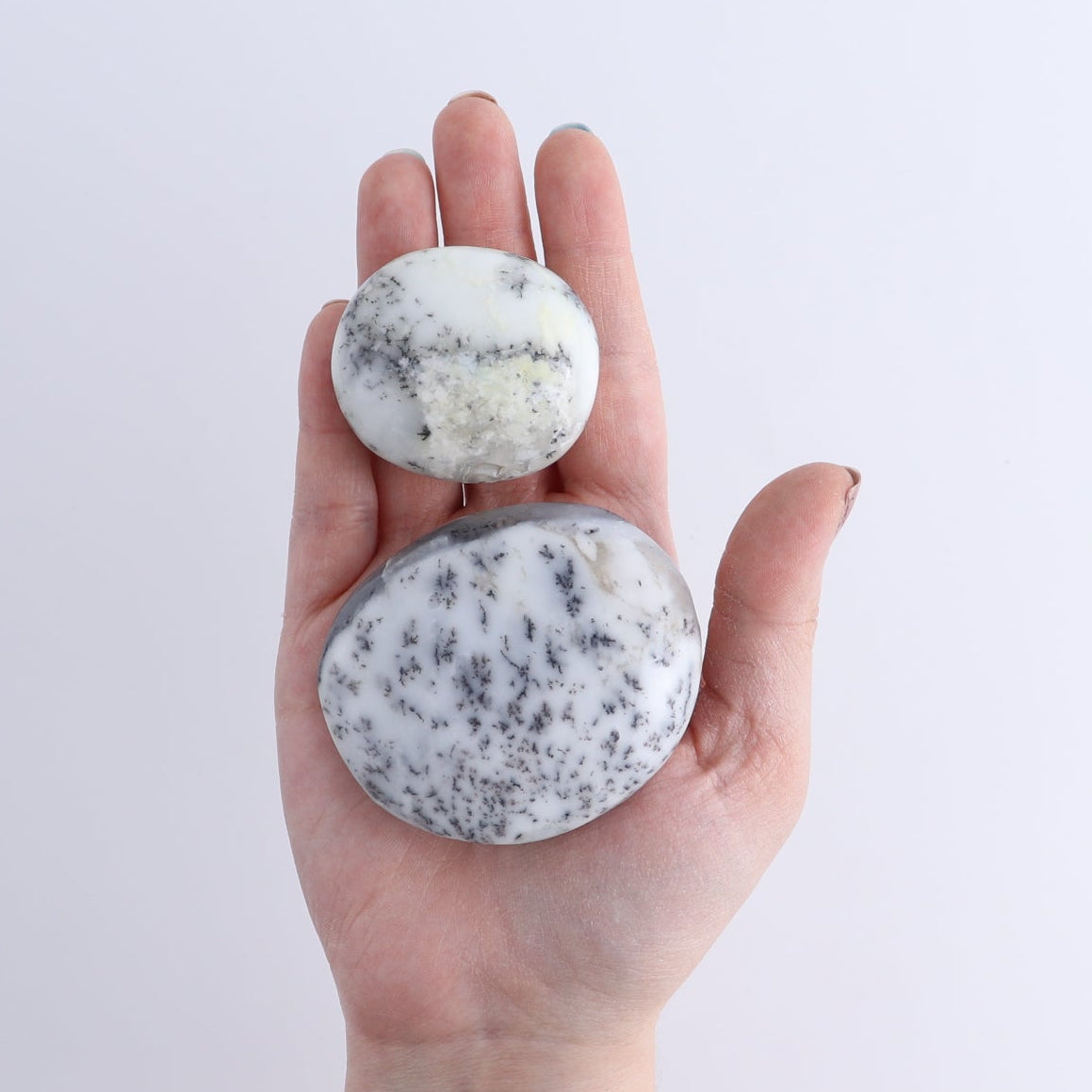 One Denditic Agate Palm Stones 1 kg Set