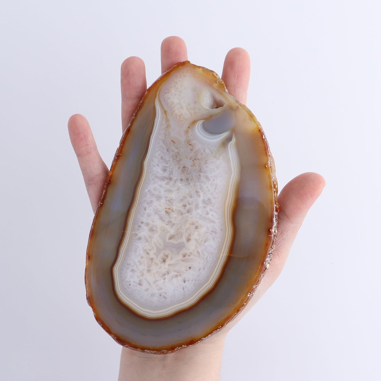 Agate Slices Set of 8 | Mi Esperanza Minerals | Supplier of Crystals and Onyx