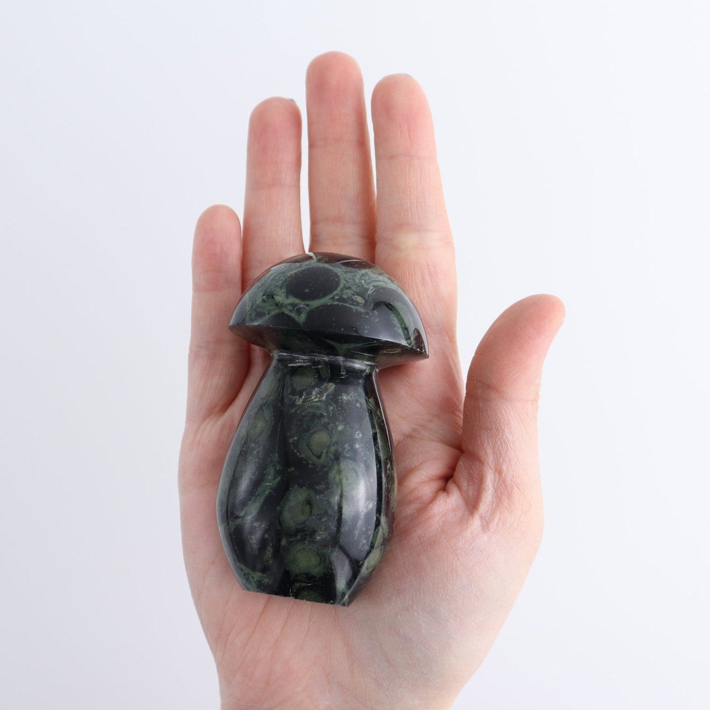 Kambaba Jasper Mushrooms Set of 7